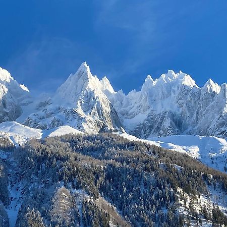 Chamonix Superbe Appartement Vue Mont Blanc Exteriér fotografie