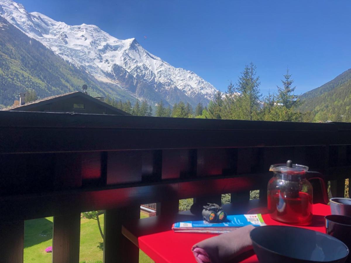 Chamonix Superbe Appartement Vue Mont Blanc Exteriér fotografie